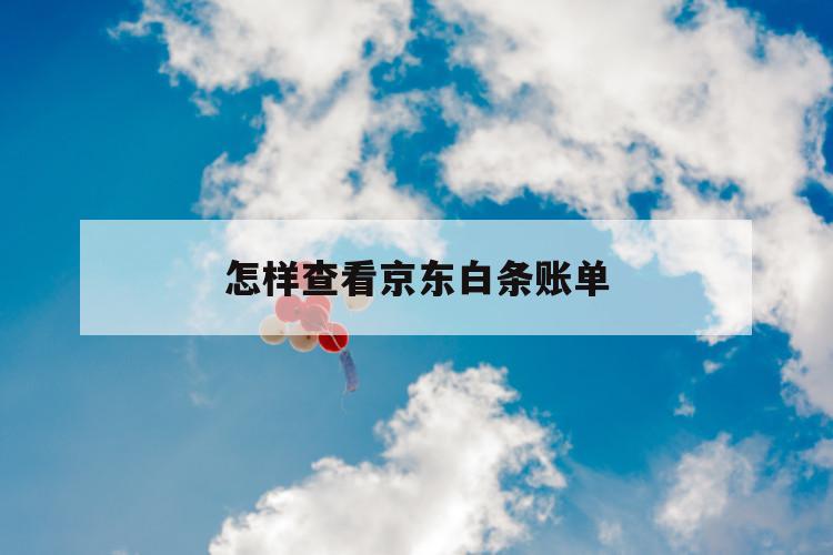 怎样查看京东白条账单 第1张 怎样查看京东白条账单 第1张