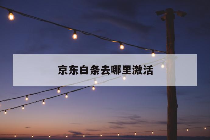 京东白条去哪里激活 第1张 京东白条去哪里激活 第1张