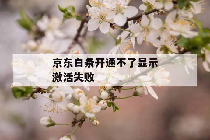 京东白条开通不了显示激活失败 第1张 京东白条开通不了显示激活失败 第1张