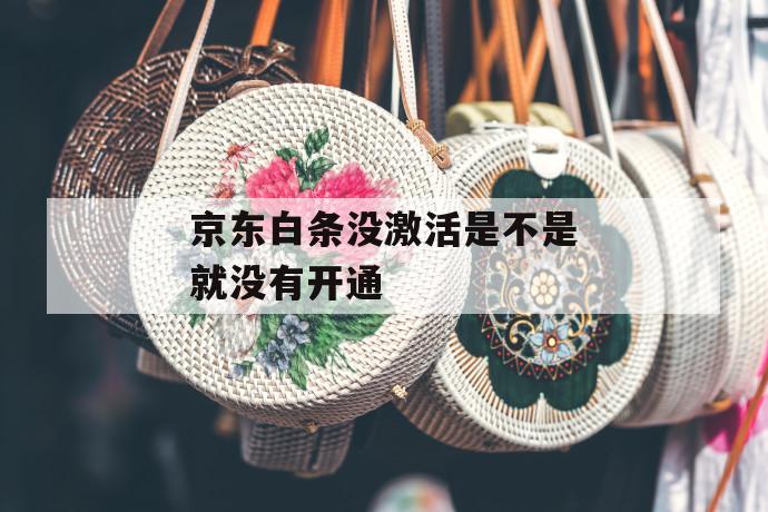 京东白条没激活是不是就没有开通 第1张 京东白条没激活是不是就没有开通 第1张