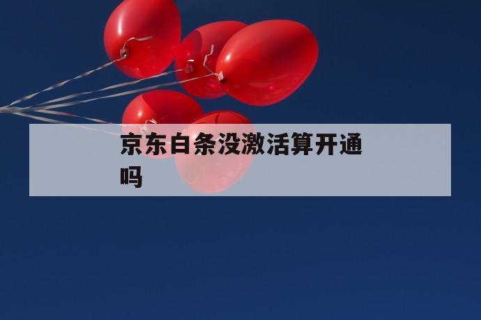京东白条没激活算开通吗 第1张 京东白条没激活算开通吗 第1张