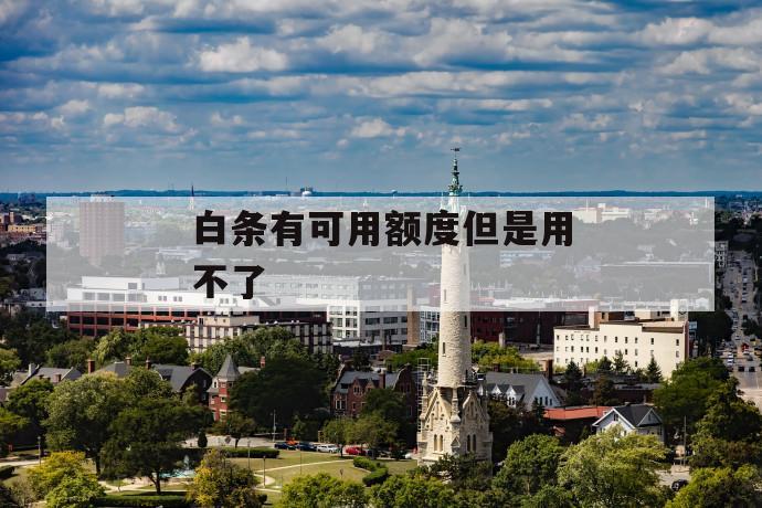 白条有可用额度但是用不了 第1张 白条有可用额度但是用不了 第1张