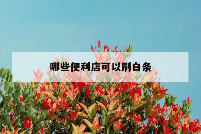 哪些便利店可以刷白条 第1张 哪些便利店可以刷白条 第1张