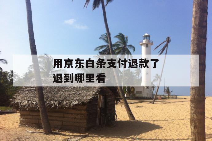 用京东白条支付退款了退到哪里看 第1张 用京东白条支付退款了退到哪里看 第1张
