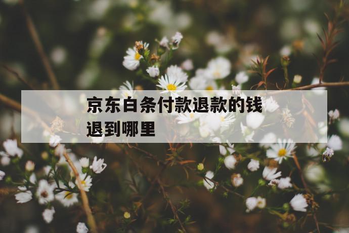 京东白条付款退款的钱退到哪里 第1张 京东白条付款退款的钱退到哪里 第1张