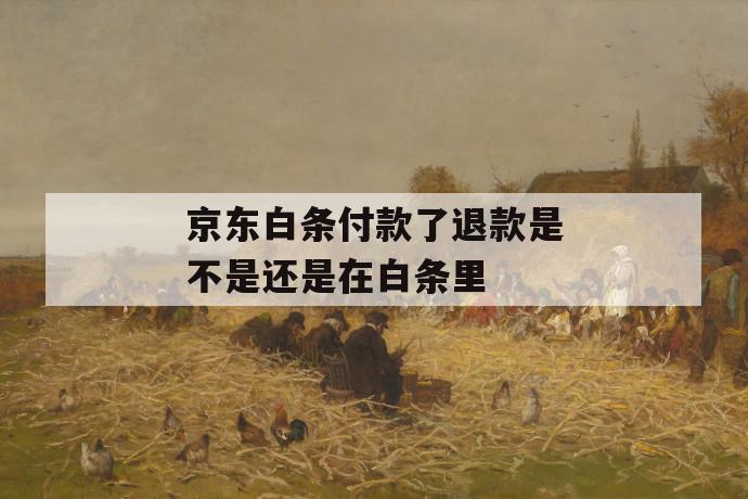 京东白条付款了退款是不是还是在白条里 第1张 京东白条付款了退款是不是还是在白条里 第1张