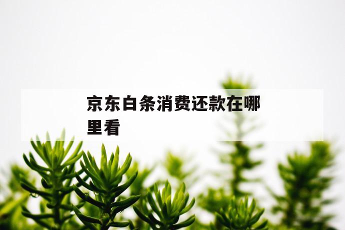 京东白条消费还款在哪里看 第1张 京东白条消费还款在哪里看 第1张