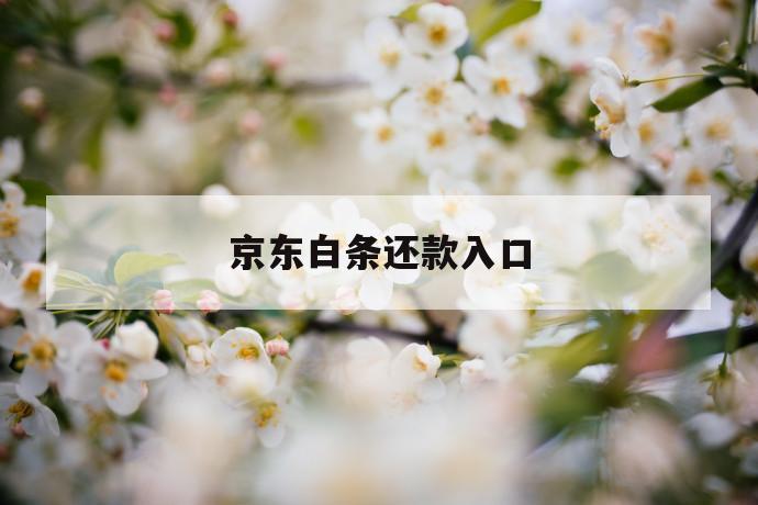京东白条还款入口 第1张 京东白条还款入口 第1张