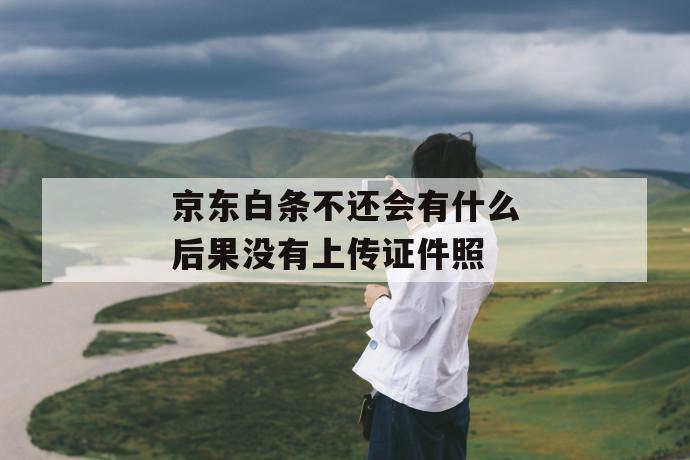 京东白条不还会有什么后果没有上传证件照 第1张 京东白条不还会有什么后果没有上传证件照 第1张