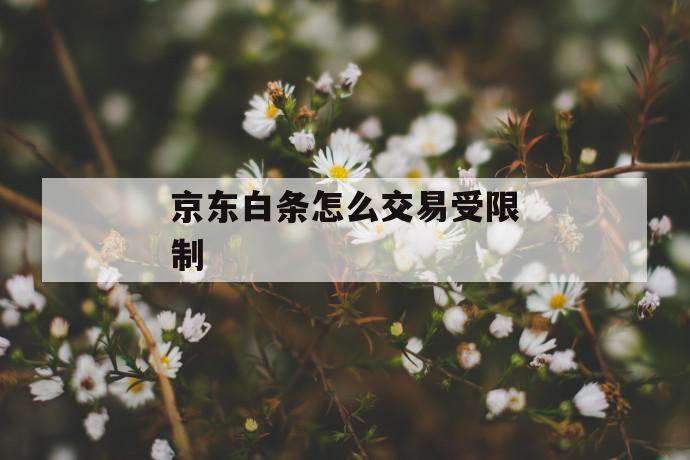 京东白条怎么交易受限制 第1张 京东白条怎么交易受限制 第1张