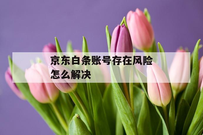 京东白条账号存在风险怎么解决 第1张 京东白条账号存在风险怎么解决 第1张