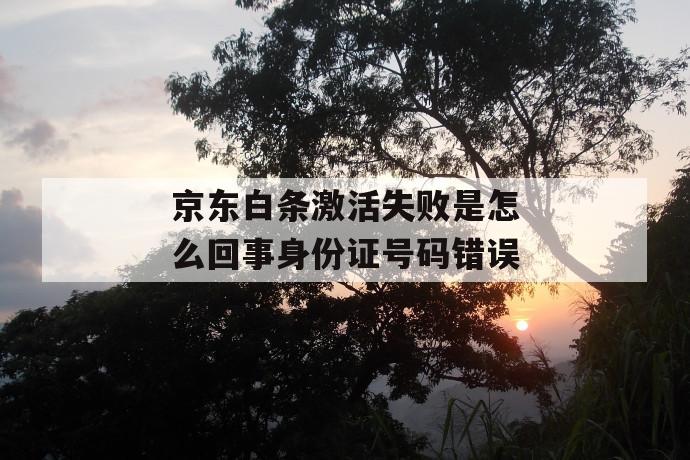 京东白条激活失败是怎么回事身份证号码错误 第1张 京东白条激活失败是怎么回事身份证号码错误 第1张