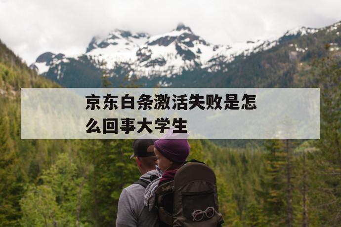 京东白条激活失败是怎么回事大学生 第1张 京东白条激活失败是怎么回事大学生 第1张