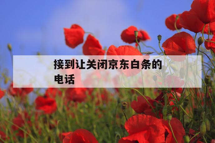 接到让关闭京东白条的电话 第1张 接到让关闭京东白条的电话 第1张
