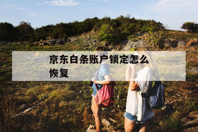 京东白条账户锁定怎么恢复 第1张 京东白条账户锁定怎么恢复 第1张