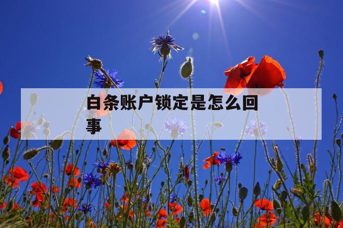 白条账户锁定是怎么回事 第1张 白条账户锁定是怎么回事 第1张