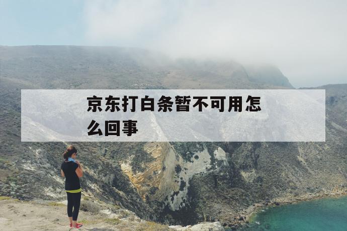京东打白条暂不可用怎么回事 第1张 京东打白条暂不可用怎么回事 第1张