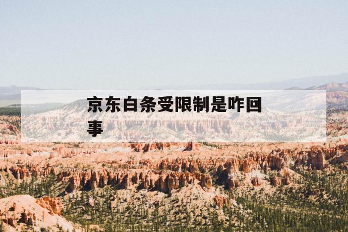 京东白条受限制是咋回事 第1张 京东白条受限制是咋回事 第1张