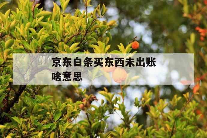 京东白条买东西未出账啥意思 第1张 京东白条买东西未出账啥意思 第1张