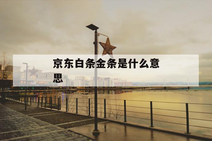 京东白条金条是什么意思 第1张 京东白条金条是什么意思 第1张