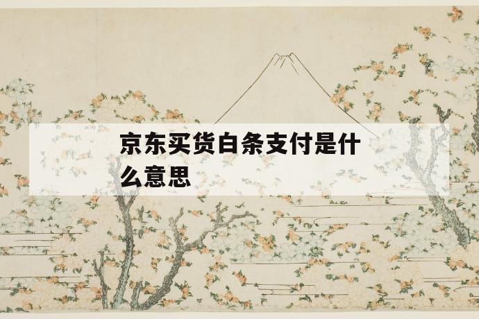 京东买货白条支付是什么意思 第1张 京东买货白条支付是什么意思 第1张