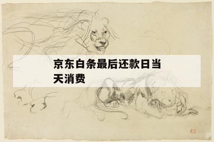 京东白条最后还款日当天消费 第1张 京东白条最后还款日当天消费 第1张