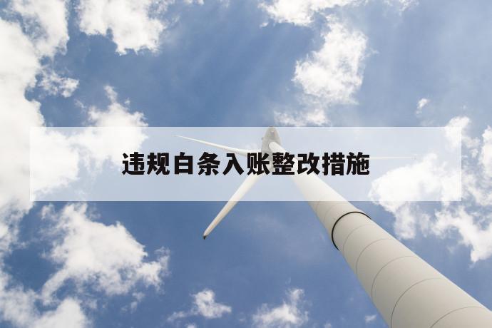 违规白条入账整改措施 第1张 违规白条入账整改措施 第1张