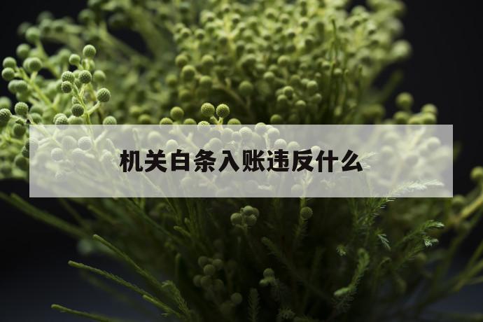 机关白条入账违反什么 第1张 机关白条入账违反什么 第1张