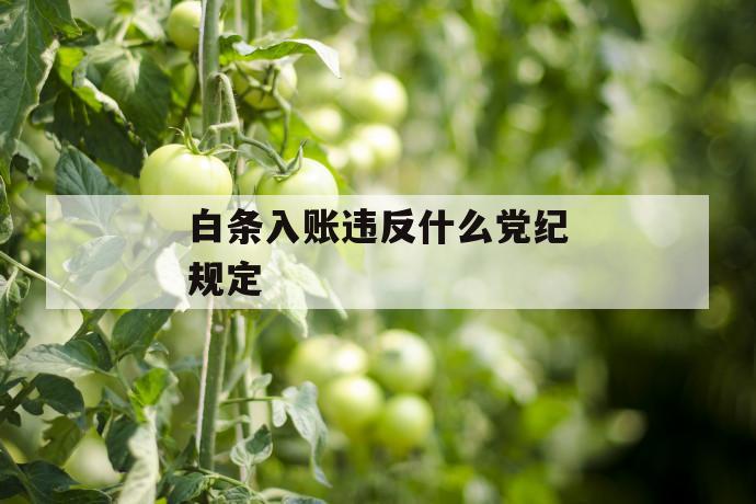 白条入账违反什么党纪规定 第1张 白条入账违反什么党纪规定 第1张