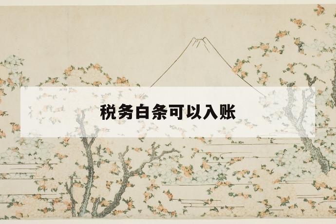 税务白条可以入账 第1张 税务白条可以入账 第1张