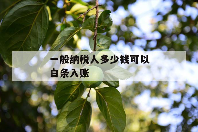 一般纳税人多少钱可以白条入账 第1张 一般纳税人多少钱可以白条入账 第1张