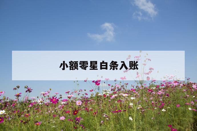 小额零星白条入账 第1张