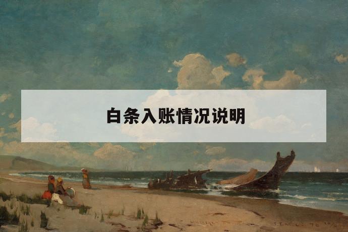 白条入账情况说明 第1张 白条入账情况说明 第1张