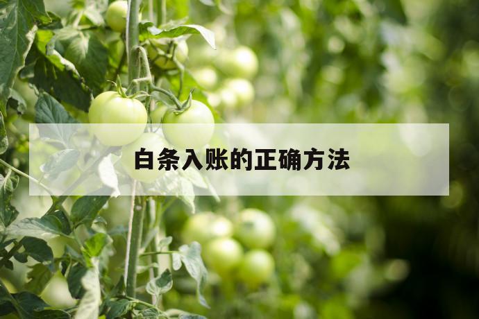 白条入账的正确方法 第1张 白条入账的正确方法 第1张