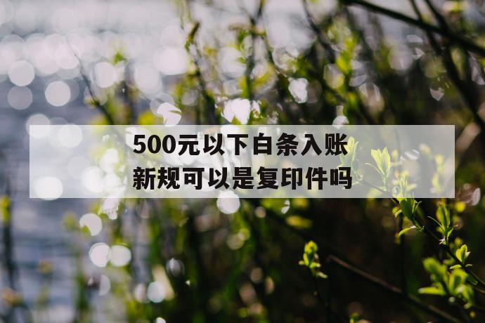 500元以下白条入账新规可以是复印件吗 第1张 500元以下白条入账新规可以是复印件吗 第1张