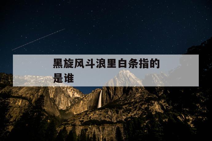 黑旋风斗浪里白条指的是谁 第1张 黑旋风斗浪里白条指的是谁 第1张