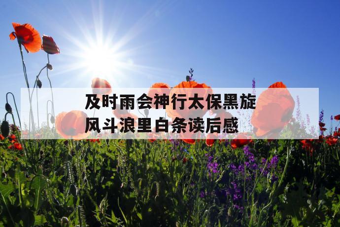 及时雨会神行太保黑旋风斗浪里白条读后感 第1张 及时雨会神行太保黑旋风斗浪里白条读后感 第1张