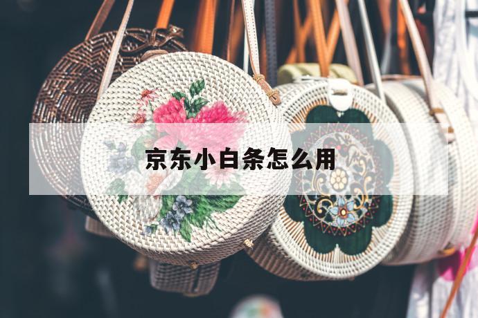 京东小白条怎么用 第1张 京东小白条怎么用 第1张