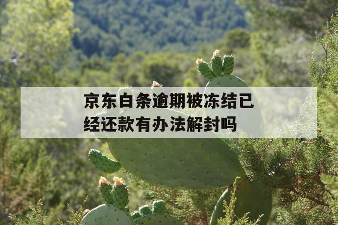 京东白条逾期被冻结已经还款有办法解封吗 第1张 京东白条逾期被冻结已经还款有办法解封吗 第1张