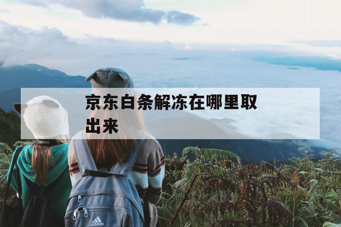 京东白条解冻在哪里取出来 第1张 京东白条解冻在哪里取出来 第1张