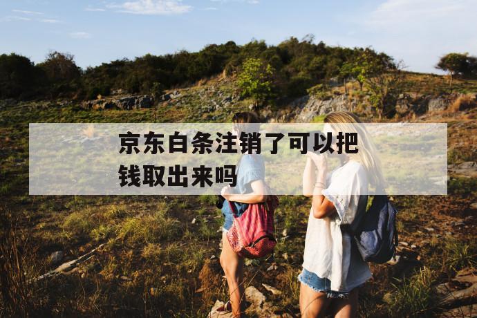 京东白条注销了可以把钱取出来吗 第1张 京东白条注销了可以把钱取出来吗 第1张