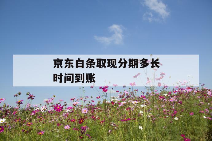 京东白条取现分期多长时间到账 第1张 京东白条取现分期多长时间到账 第1张