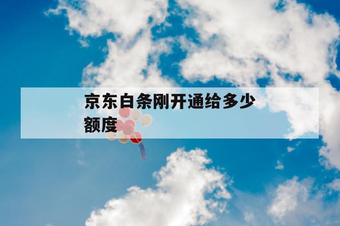 京东白条刚开通给多少额度 第1张 京东白条刚开通给多少额度 第1张