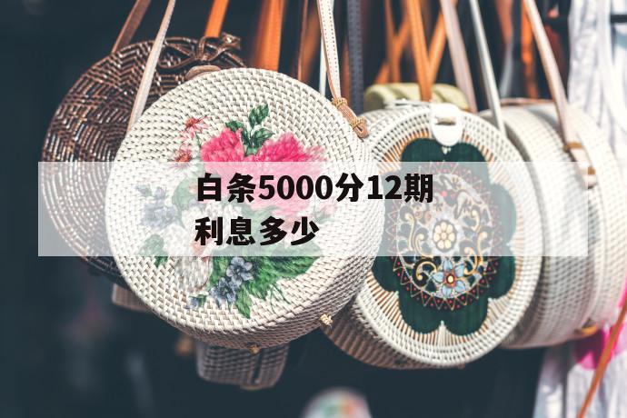 白条5000分12期利息多少 第1张 白条5000分12期利息多少 第1张