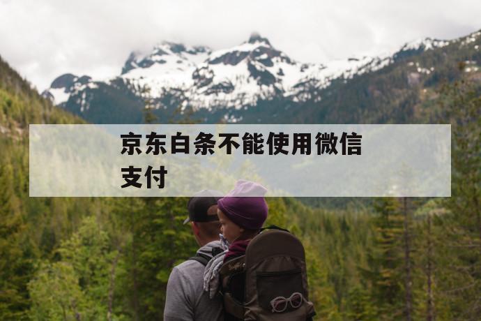 京东白条不能使用微信支付 第1张 京东白条不能使用微信支付 第1张