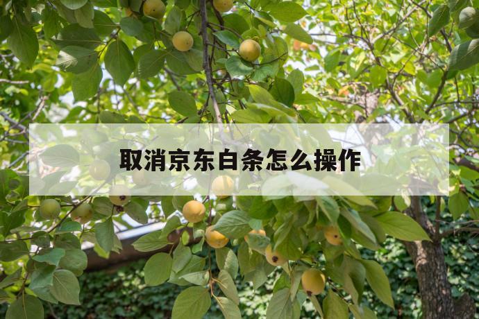 取消京东白条怎么操作 第1张 取消京东白条怎么操作 第1张