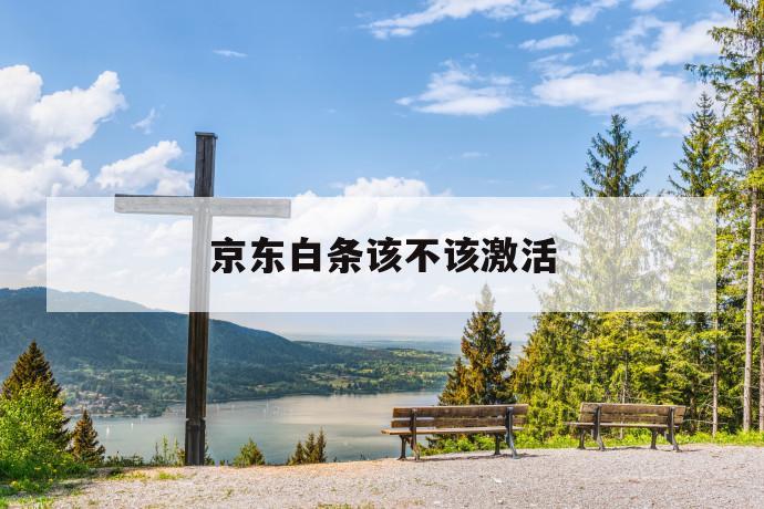 京东白条该不该激活 第1张 京东白条该不该激活 第1张