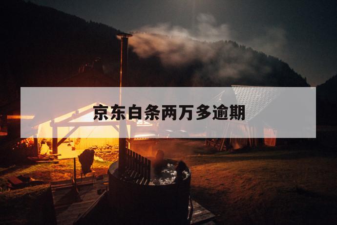 京东白条两万多逾期 第1张 京东白条两万多逾期 第1张
