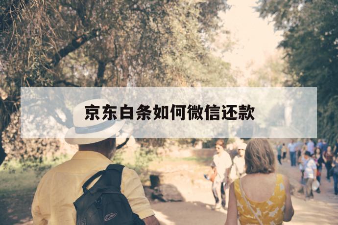 京东白条如何微信还款 第1张 京东白条如何微信还款 第1张