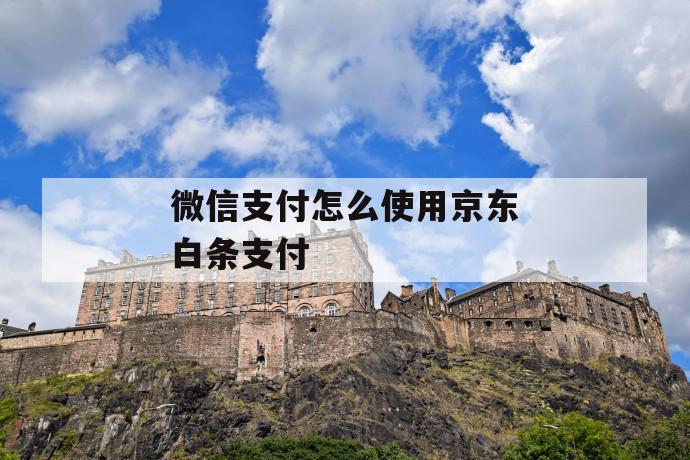微信支付怎么使用京东白条支付 第1张 微信支付怎么使用京东白条支付 第1张